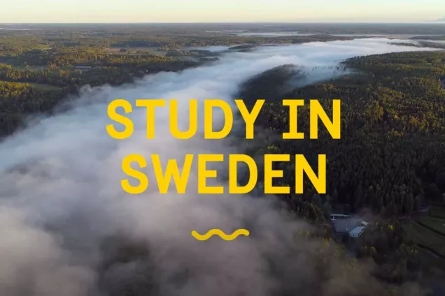 A screenshot of a video saying Study in Sweden. Photo.